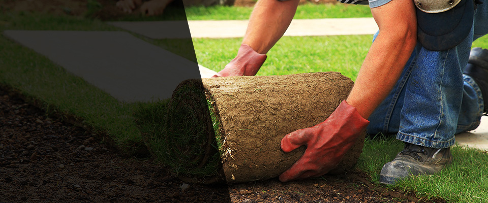 Harwood Heights Landscapers